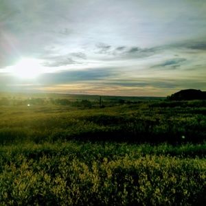 Meet your Posher, Rina